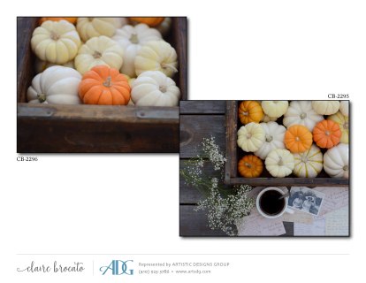 1Brocato-Claire-Autumn_Page_10