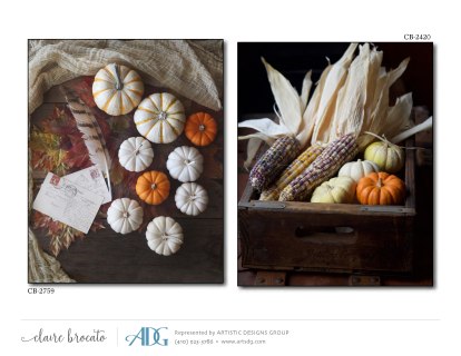 1Brocato-Claire-Autumn_Page_12