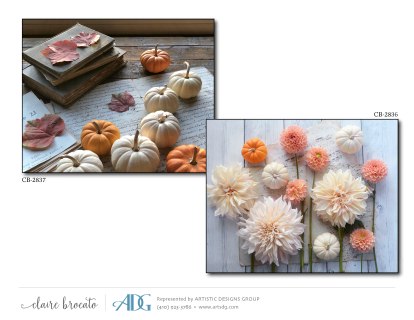 1Brocato-Claire-Autumn_Page_15