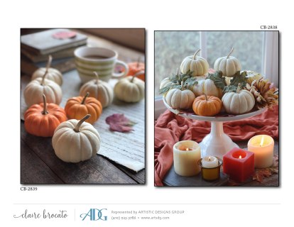 1Brocato-Claire-Autumn_Page_16