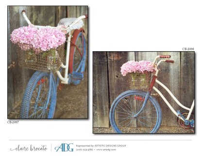 1Brocato-Claire-Bicycles-Byways_Page_07