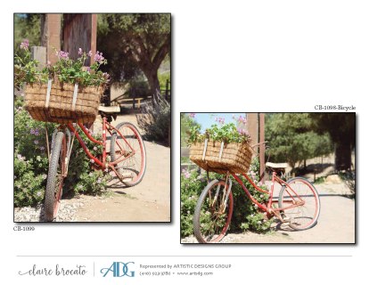 1Brocato-Claire-Bicycles-Byways_Page_11