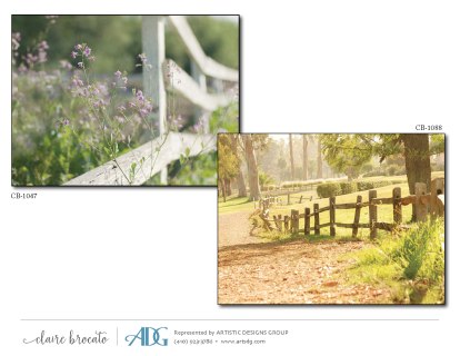 1Brocato-Claire-Bicycles-Byways_Page_25