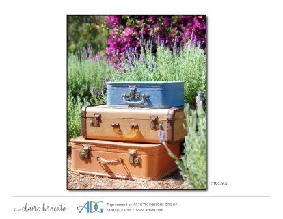 1Brocato-Claire-Bicycles-Byways_Page_27