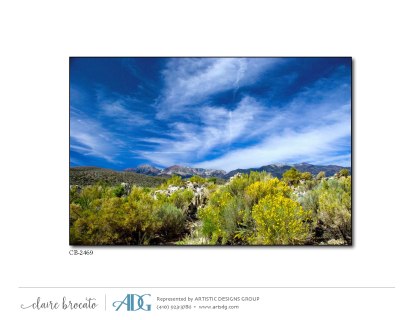 1Brocato-Claire-Bicycles-Byways_Page_33