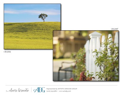 1Brocato-Claire-Bicycles-Byways_Page_37