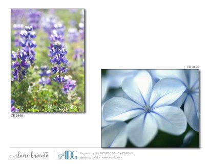 1Brocato-Claire-Fields-of-Flowers_Page_24