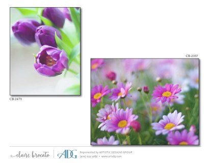 1Brocato-Claire-Fields-of-Flowers_Page_25