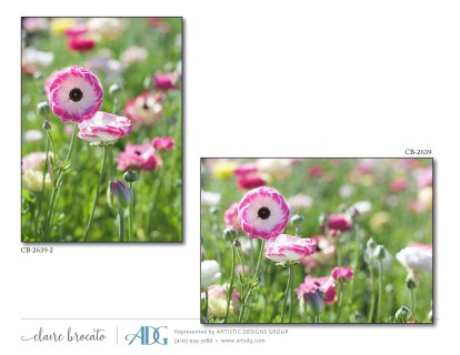 1Brocato-Claire-Fields-of-Flowers_Page_26