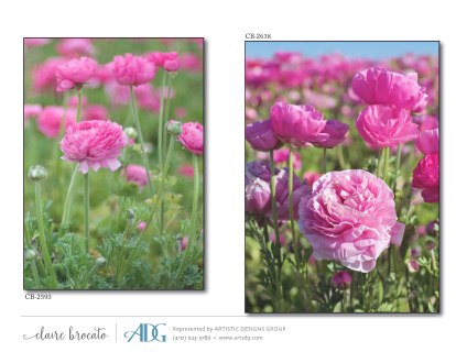 1Brocato-Claire-Fields-of-Flowers_Page_27