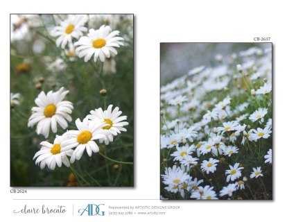 1Brocato-Claire-Fields-of-Flowers_Page_28