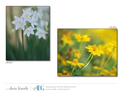 1Brocato-Claire-Fields-of-Flowers_Page_29