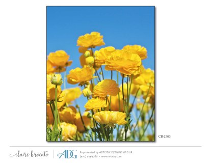 1Brocato-Claire-Fields-of-Flowers_Page_30