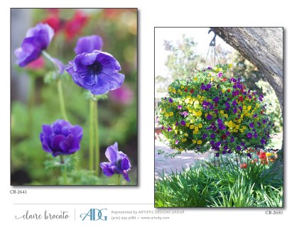 1Brocato-Claire-Fields-of-Flowers_Page_31