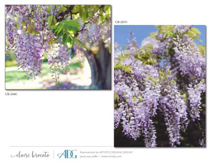 1Brocato-Claire-Fields-of-Flowers_Page_33