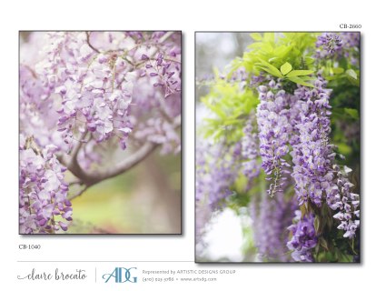 1Brocato-Claire-Fields-of-Flowers_Page_34