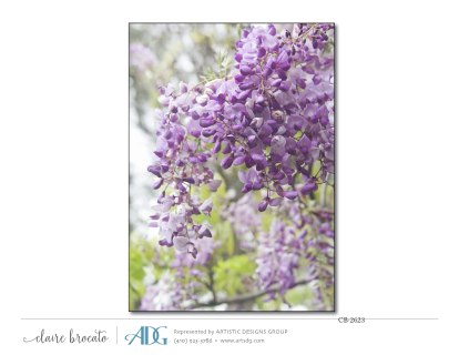 1Brocato-Claire-Fields-of-Flowers_Page_35