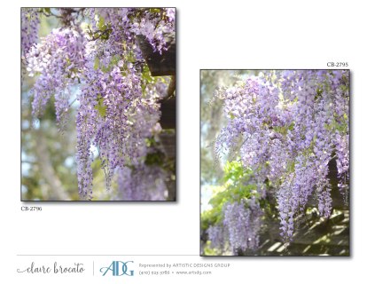1Brocato-Claire-Fields-of-Flowers_Page_36
