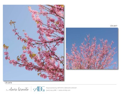 1Brocato-Claire-Fields-of-Flowers_Page_39