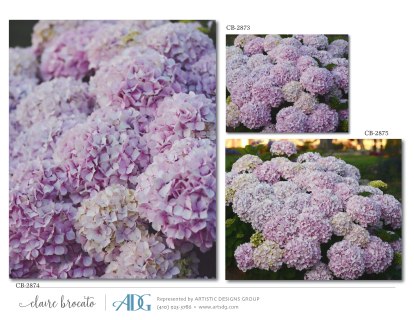 1Brocato-Claire-Fields-of-Flowers_Page_40