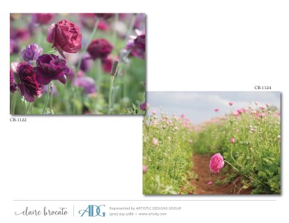 1Brocato-Claire-Fields-of-Flowers_Page_41
