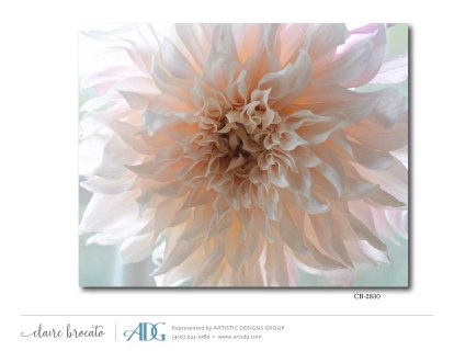 1Brocato-Claire-Fresh-Cut_Page_116