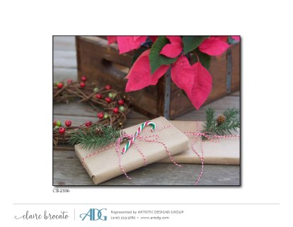 1Brocato-Claire-Images-of-Christmas_Page_03