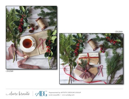 1Brocato-Claire-Images-of-Christmas_Page_16