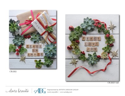 1Brocato-Claire-Images-of-Christmas_Page_24