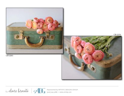 1Brocato-Claire-In-the-Home_Page_38