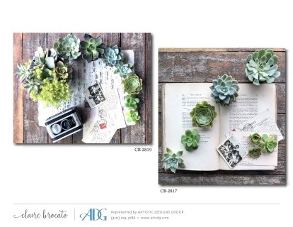 1Brocato-Claire-In-the-Home_Page_46