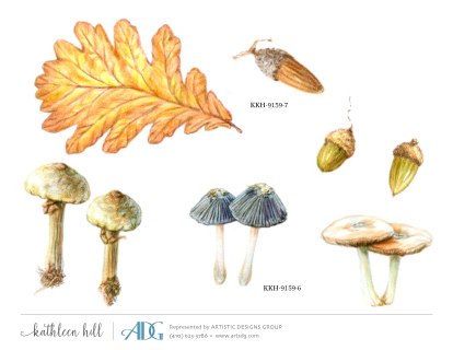 1Hill-Kathleen-Keil-Birds-and-Wild-Animals_Page_30