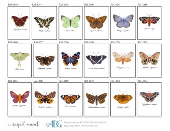 1Maciel-Raquel-Everyday_Page_049