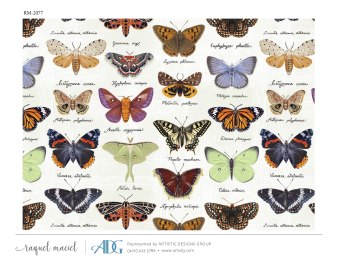 1Maciel-Raquel-Everyday_Page_050