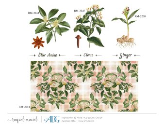 1Maciel-Raquel-Everyday_Page_078