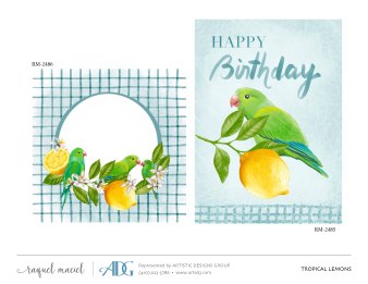 1Maciel-Raquel-Everyday_Page_108