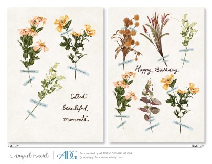 1Maciel-Raquel-Everyday_Page_030