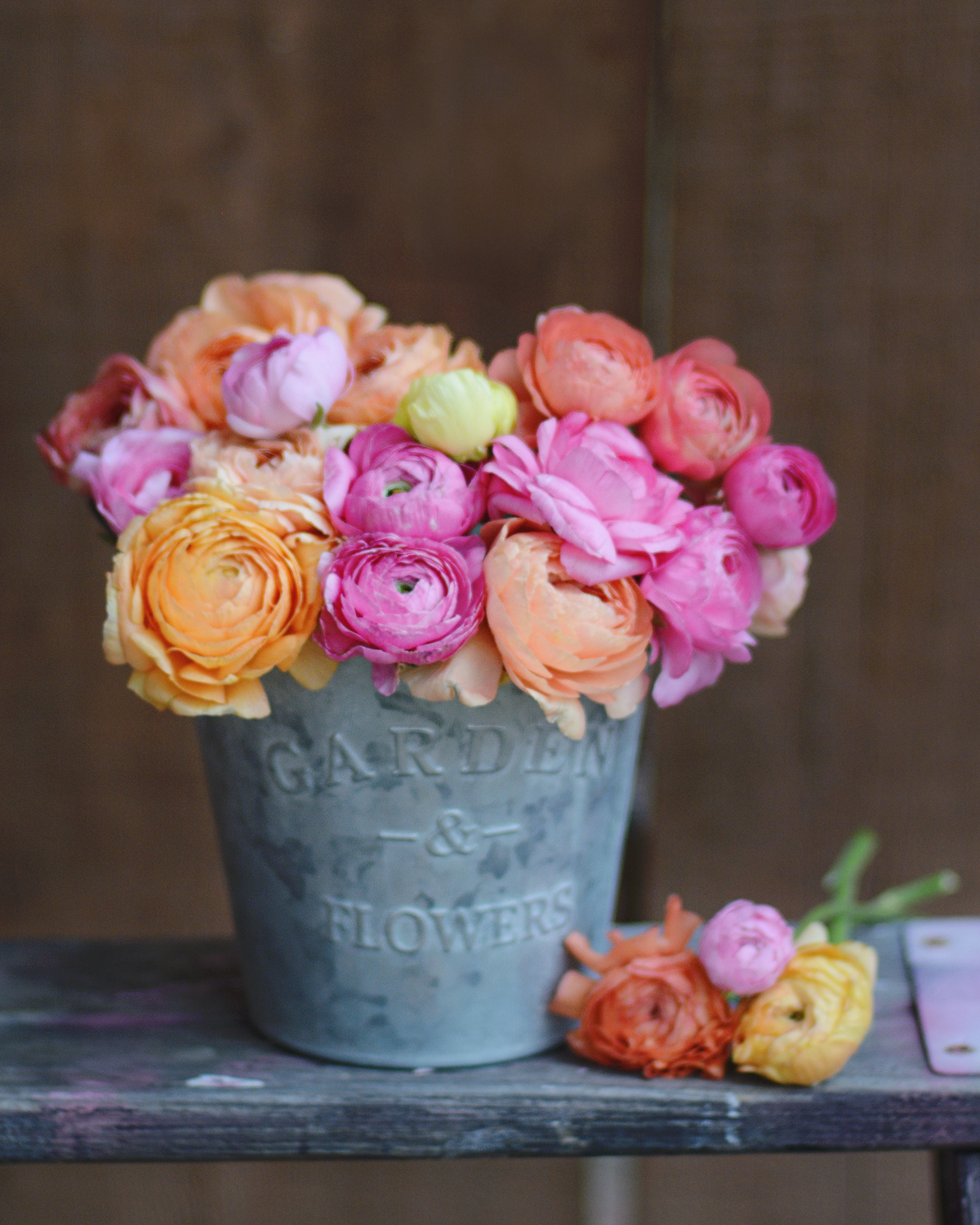 CB-2271-bucket_colorful_flowers_8x10