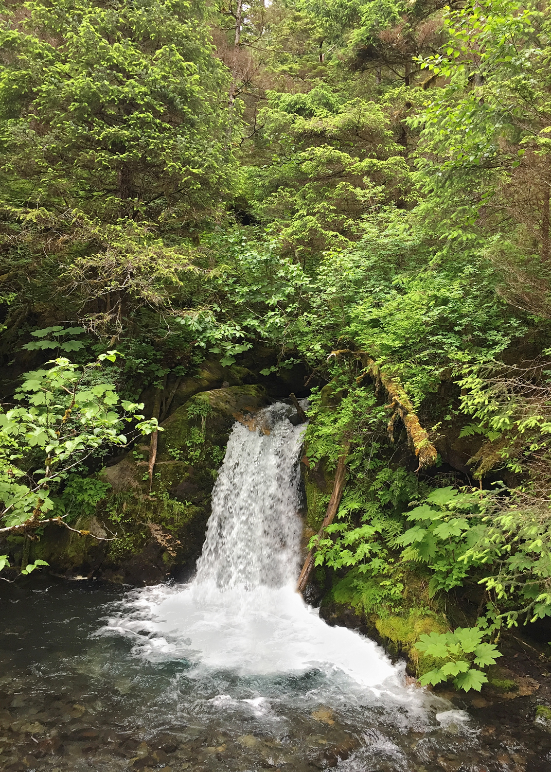 CB-2707_small_waterfall_alaska_5x7