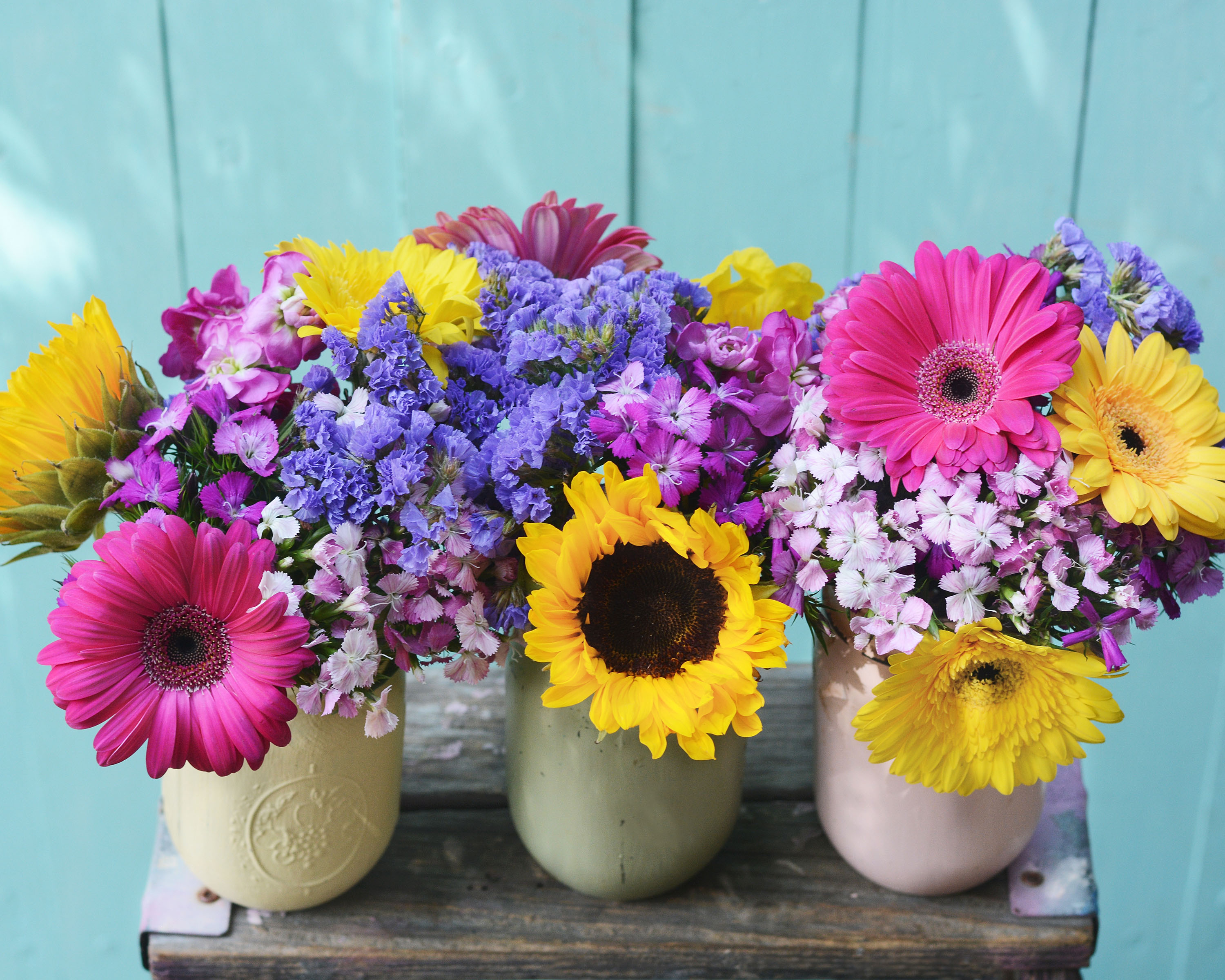 CB-2924_3-colorful-jars