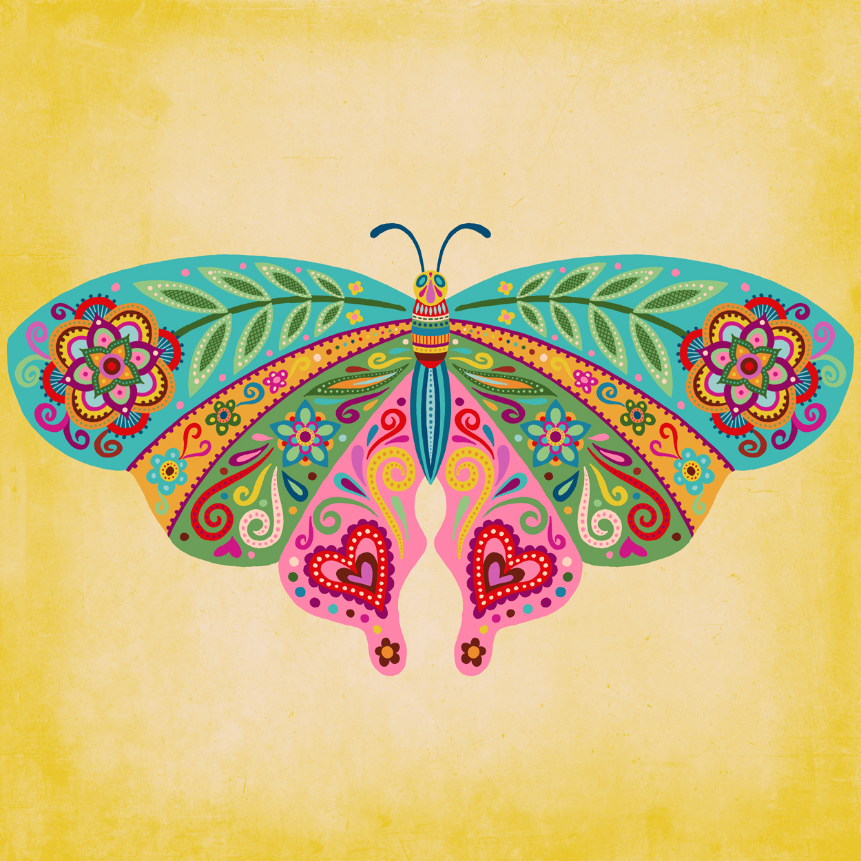 butterfly2