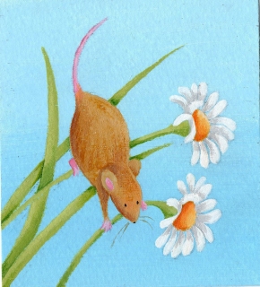 00019674EL-EML0852
