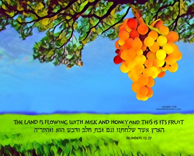 37_Parasha_Shelach_©Joanne_Fink_Judaica