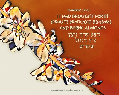 38_Parasha_Korach_©Joanne_Fink_Judaica