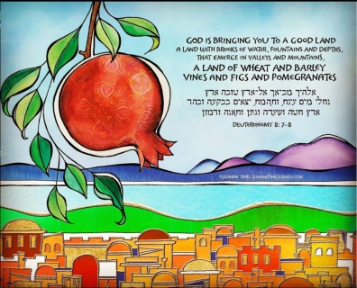 46_Parasha_Eikev_©Joanne_Fink_Judaica