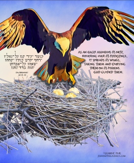 53_Parasha_Haazinu_©Joanne_Fink_Judaica