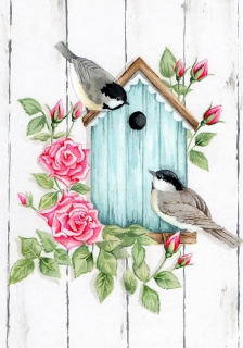 ADGE0178-resized-JAA