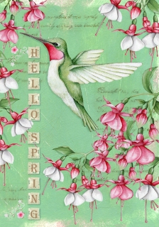 ADGE0565b_FLAG ADGE0565b_FLAG