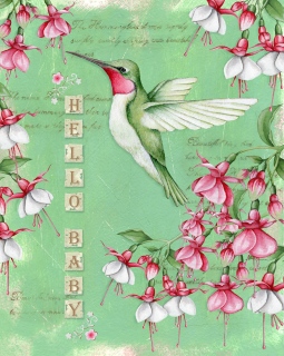 ADGE0565b_HelloBaby ADGE0565b_HelloBaby