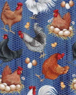 ADGE0574-chicken-egg-2jpeg